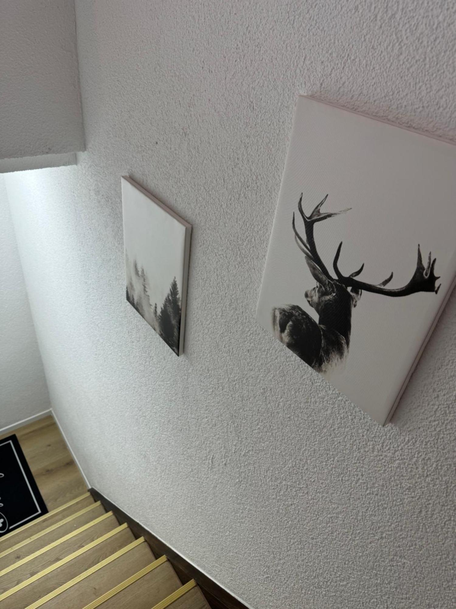 Dachgeschosstraum Apartment ฟรอยเดนชตัดท์ ภายนอก รูปภาพ