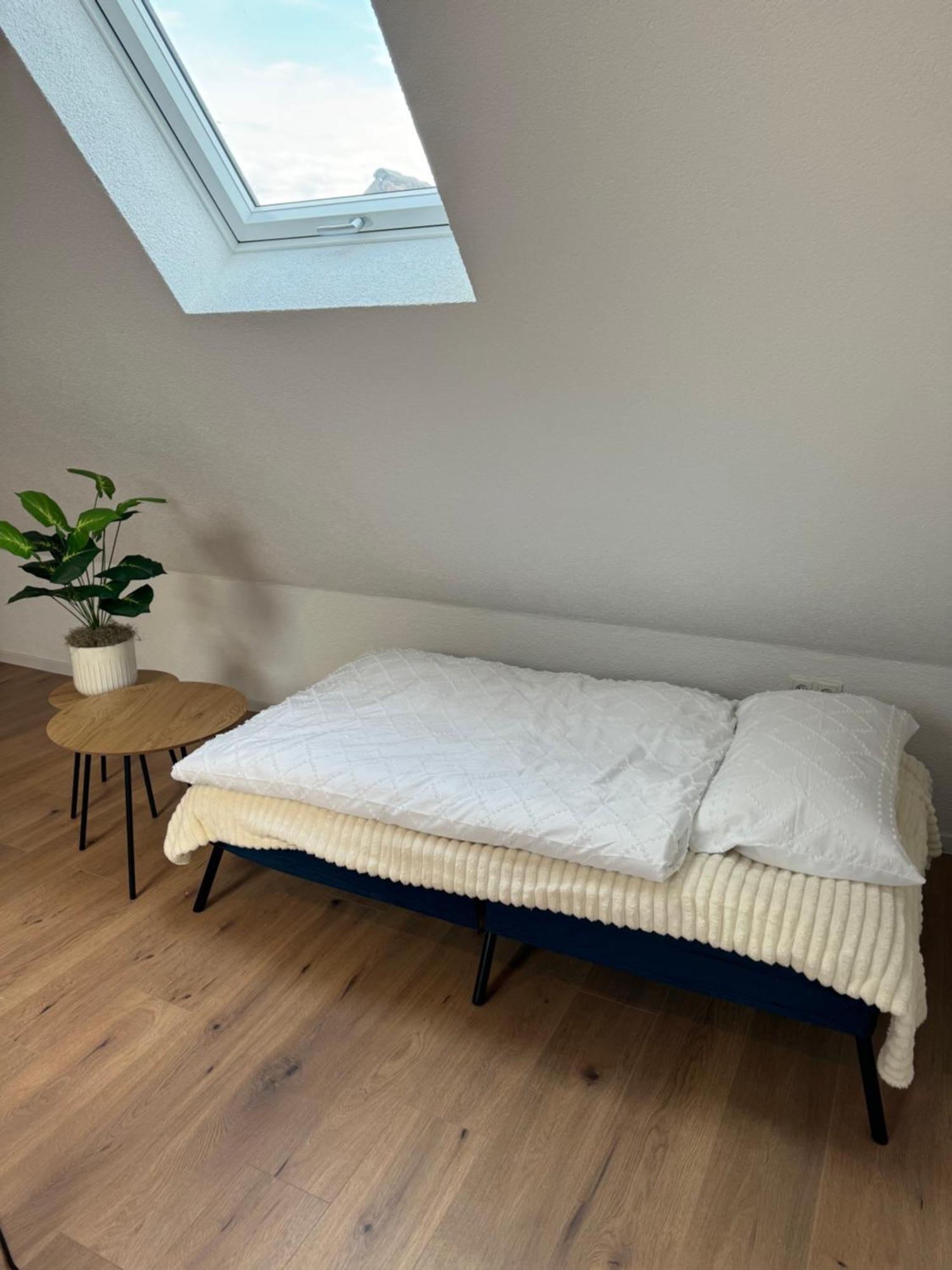 Dachgeschosstraum Apartment ฟรอยเดนชตัดท์ ภายนอก รูปภาพ